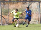 בשיניים, שעריים