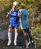 שיכון תחתית