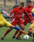 ואלה תולדות