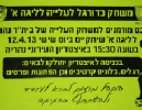 ניסים אלפסי: 