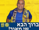שי מאור: 
