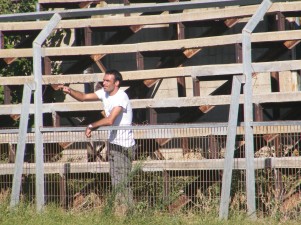 עוקב אחרי אחיו. כפיר אדרי במפגש הקודם בשעריים (שמעון לוי) 