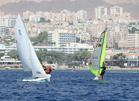 בין הענפים הנפוצים בישראל (צילום: שלומי גבאי)