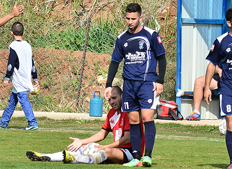 אלמקייס (בכחול) (ארנון לוי)