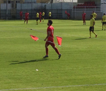 הדגלים בדרך למקומם (אבירם שרעבי)