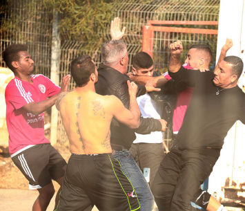 התמונה מדברת בעד עצמה (עדי מלול)