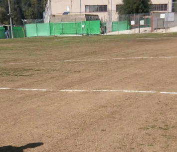 המגרש במגדל העמק (קובי פורטל)