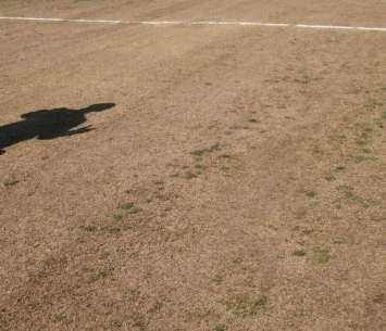 המגרש במגדל העמק