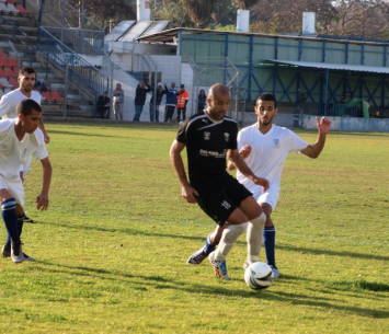שמח בתחתית דרום א'. צפרירים נגד בית