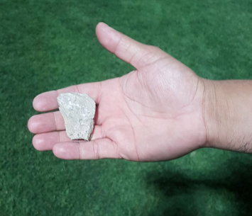 האבן שנזרקה לכר הדשא