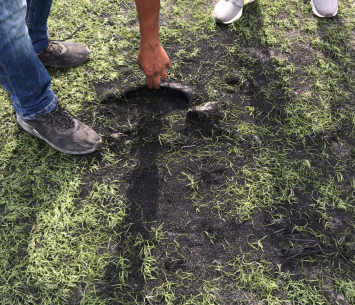 המגרש הסינטטי