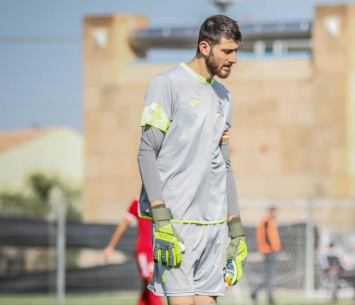 ישאיר שער נקי. שרבל דביאת (נזיה סולטן)