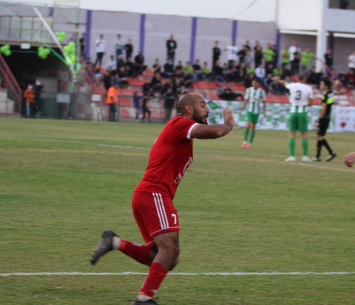 שער גדול. שיבלי