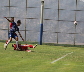 משבר ברעננה, פריחה בבקה (דאפר מאחמיד)