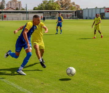 מחפש אתגר חדש. מדהלה (גלעד אימס)