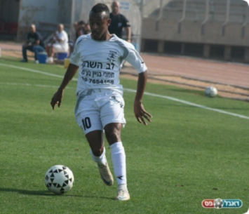 נשאר בכפר. איילה