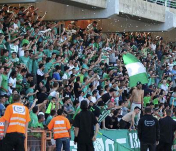 הקהל הירוק (אלן שיבר)