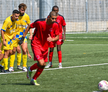 אדרי (ירון קליין)