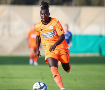 סולליך (מדיה סקציה נס ציונה)