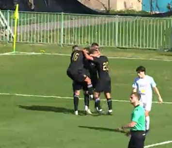 טירה חוגגת (צילום מסך)