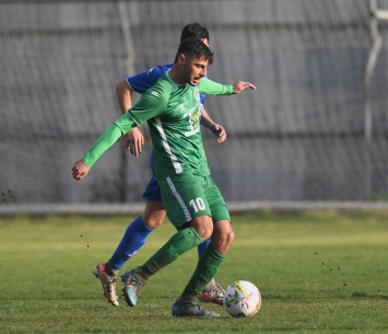 בולגנים (אבי רביבו)