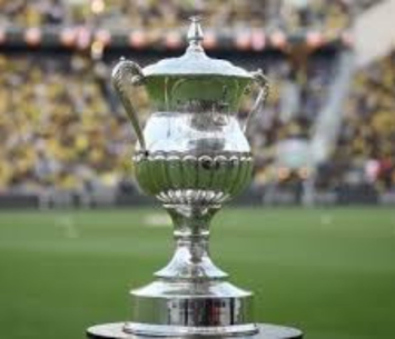 גביע המדינה (אלן שיבר)