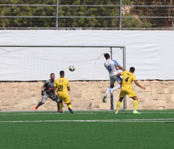 שוורץ בפעולה (גלעד אימס)