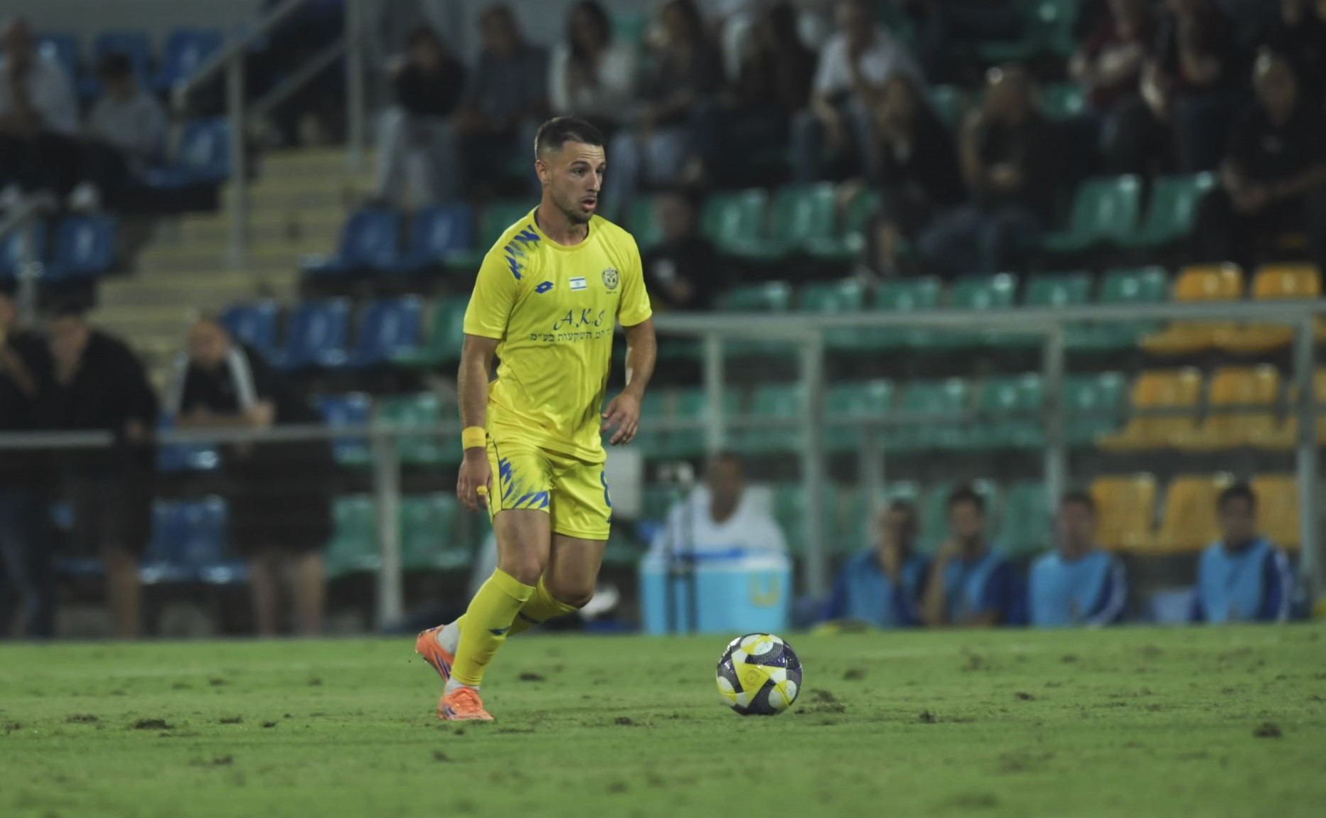 טוליץ (אבי רביבו)