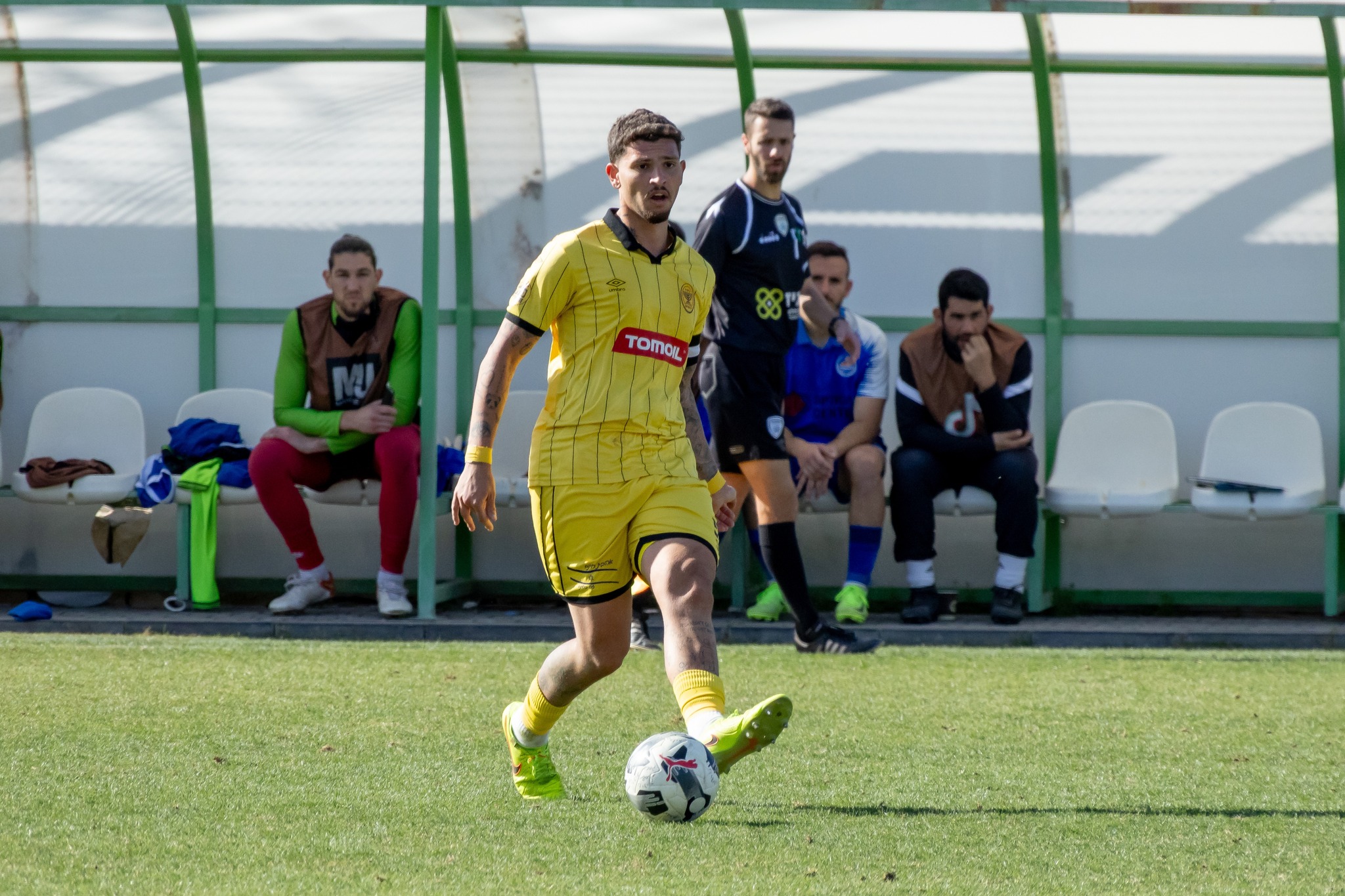 הזדמנות אחרונה לירושלמים (גלעד אימס)