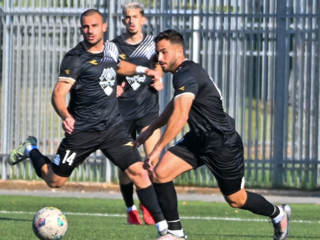 שפייר. הטוב ביותר בבקעה (ירון קליין)