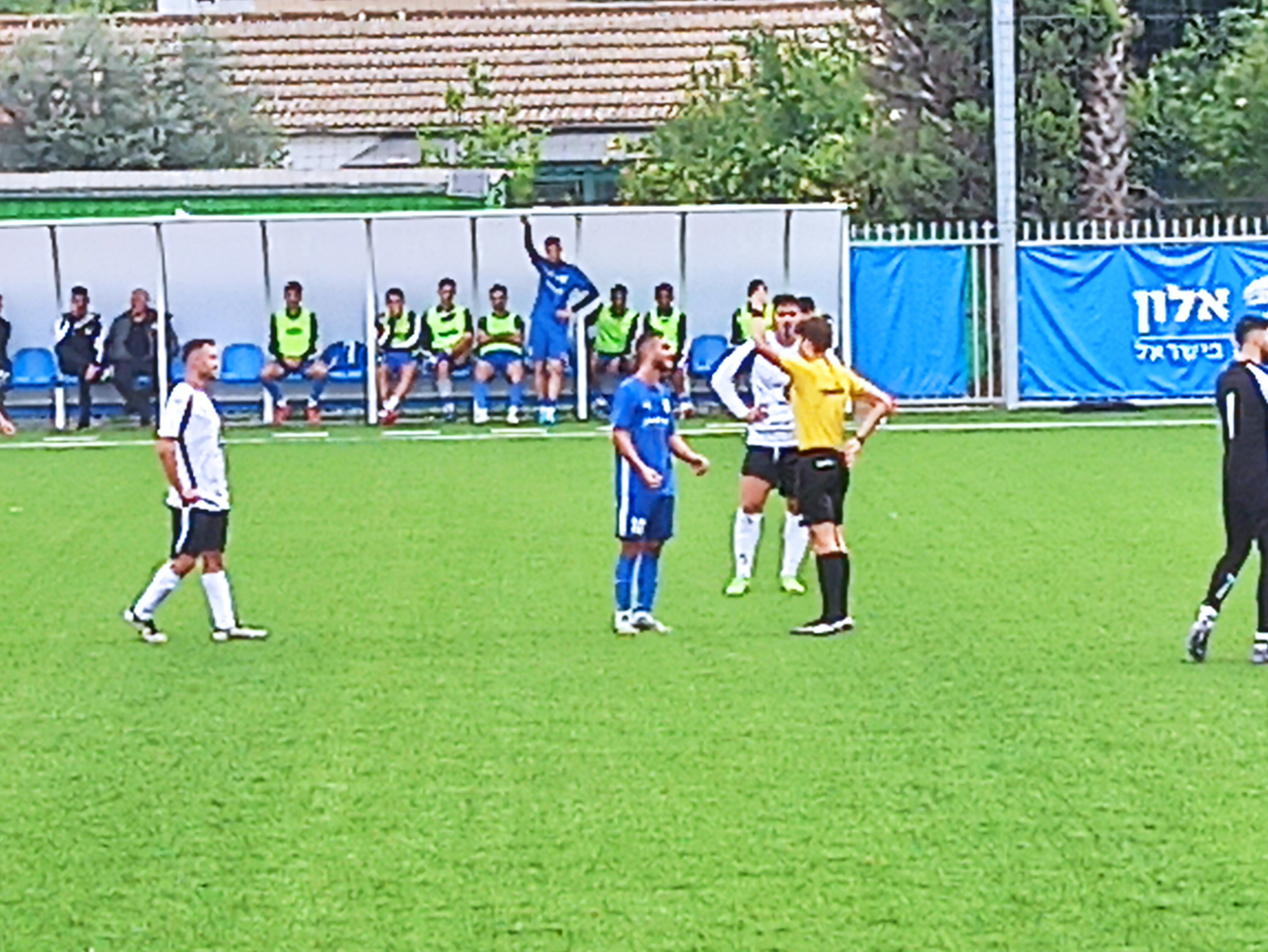 אדום מיותר. סדיס מורחק (אלון יהודיוף)