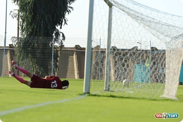 אלון בעוד הדיפה נהדרת (עודד חסין)