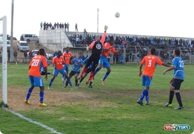 תל שבע לחצה. זיתון בפעולה (צילום: עבדאללה אזברגה)
