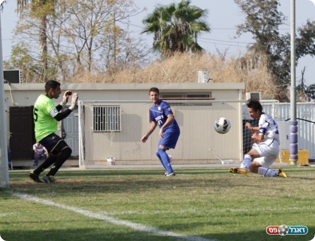 החמצה גדולה. צמח נוגח החוצה (צילום: קובי רוזן)