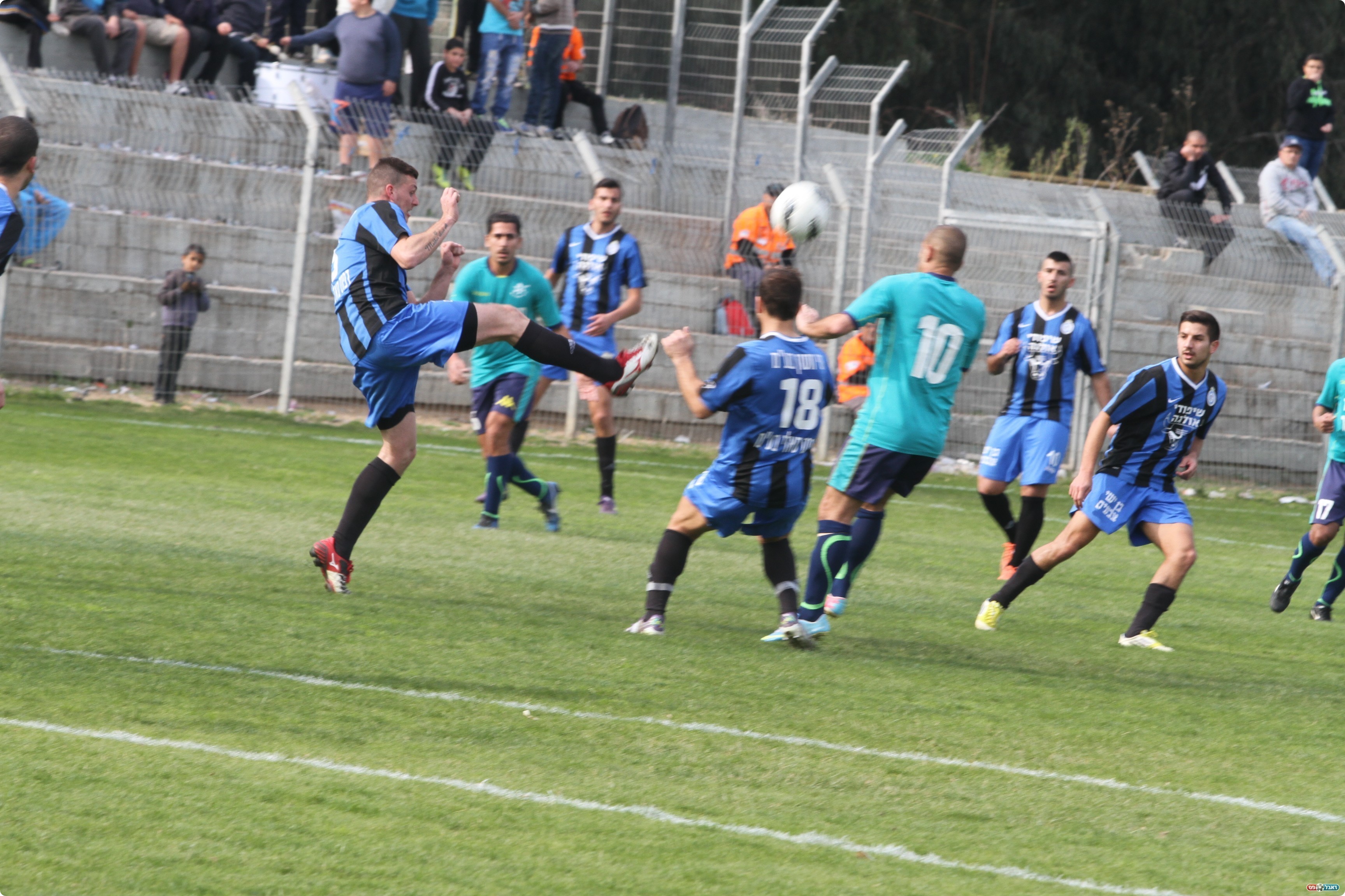 (צילום: שלומי גבאי)