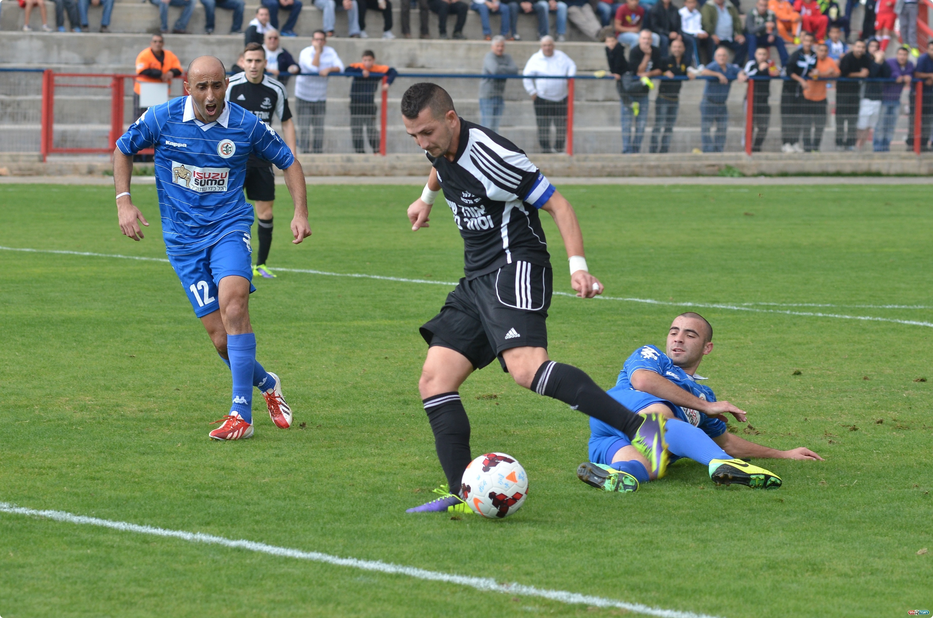 מלכה גובר על בויס (צילום: ארנון לוי)