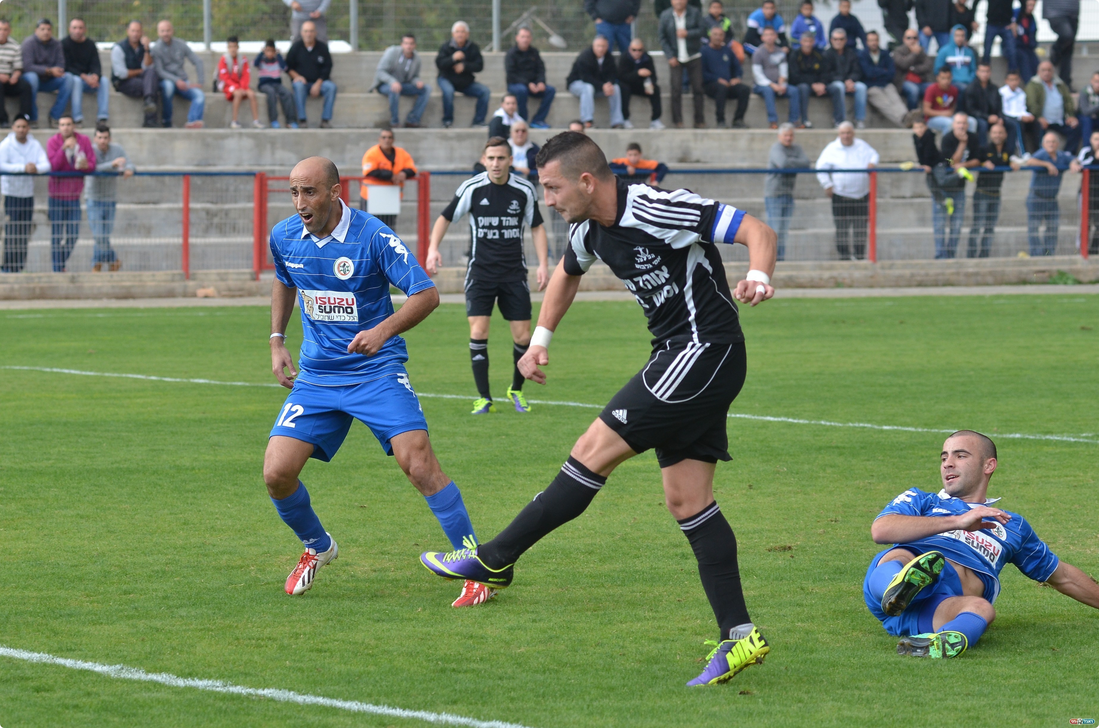 מלכה כובש (צילום: ארנון לוי)