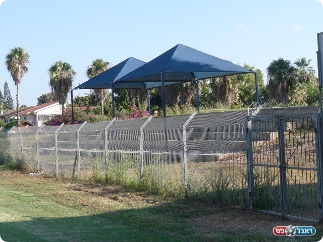 יותר ציפורים מאוהדים. היציע הריק