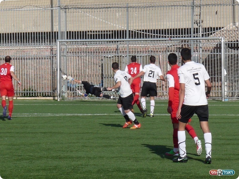 מחניים עקשנית. צפדיה מכניע את קונפינו (אלי שמואלי)