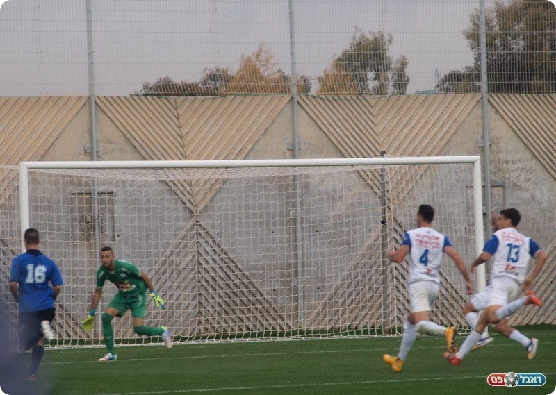 פרחי מול טובלי (אלון יהודיוף)