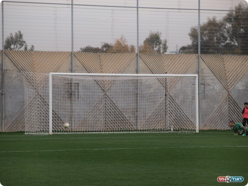 סגר עניין. הכדור של פרחי ברשת (אלון יהודיוף)