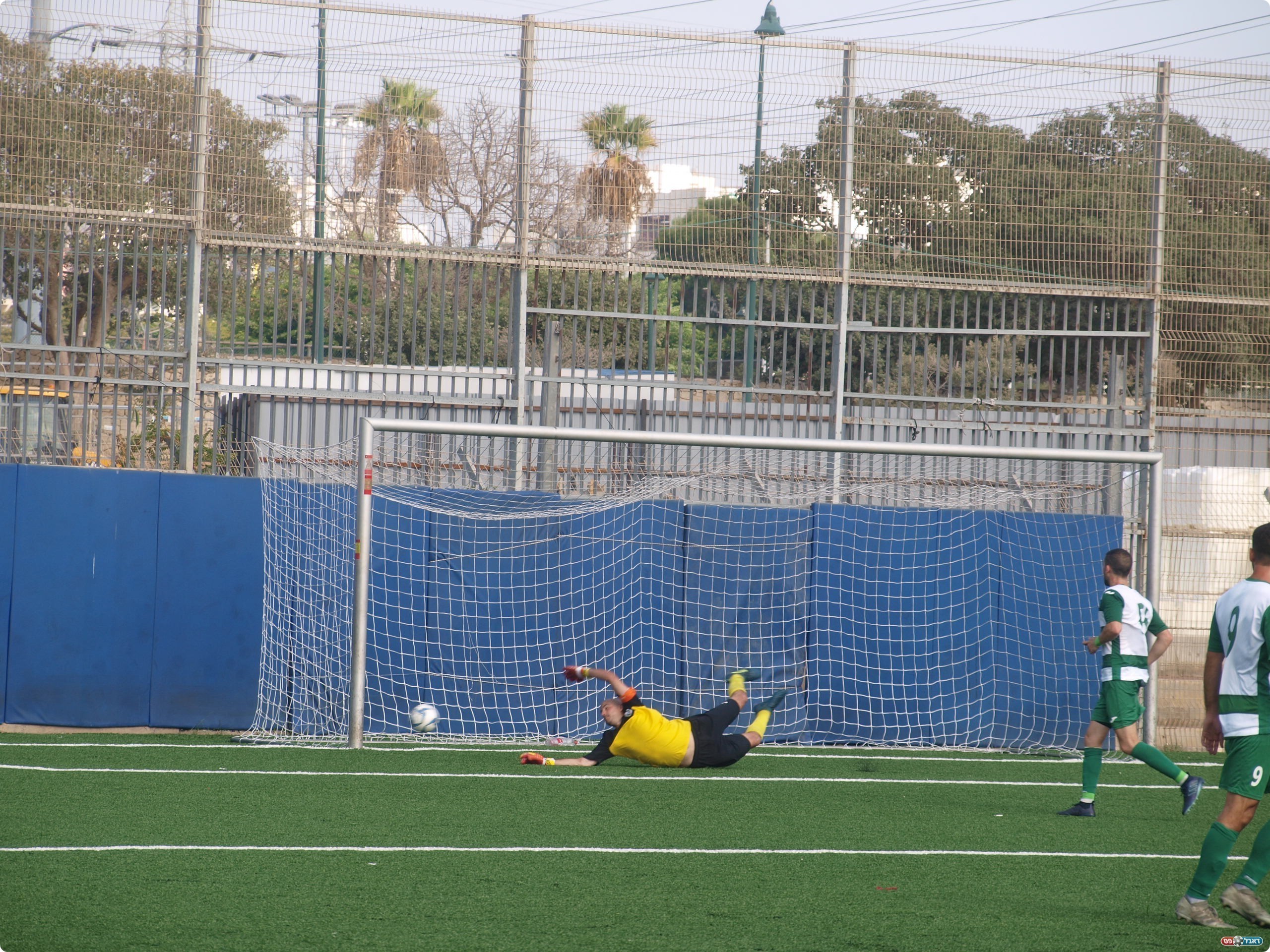 יפו חזרה להוביל. השני של יתים ברשת (אלון יהודיוף)