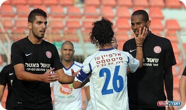 הרוחות התחממו. צמח סוטר לזנה (צילום: לירן דורף)