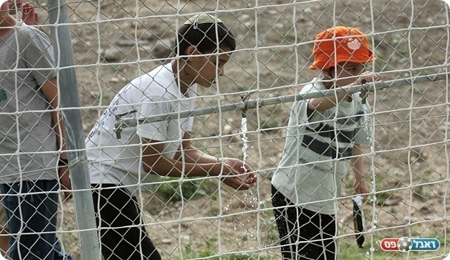 האטרקציה הכי גדולה במגרש, הברזייה (לירן דורף)