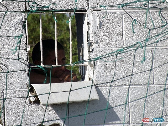 עוד עמדת הצצה מקורית (אייל אורן)