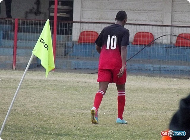 הרחקה מטופשת. איילה המתוסכל יורד מהדשא (צילום: אייל אורן)