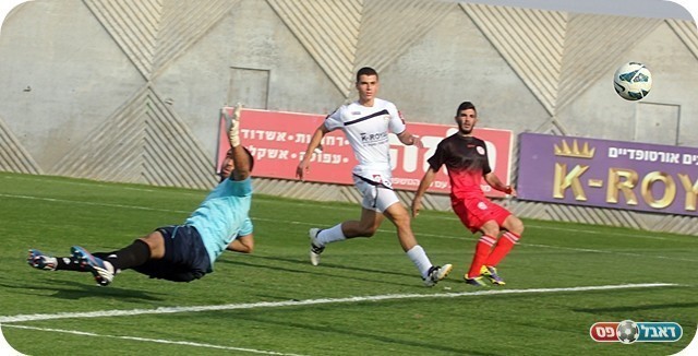 שערי נכנע (צילום: לירן דורף)