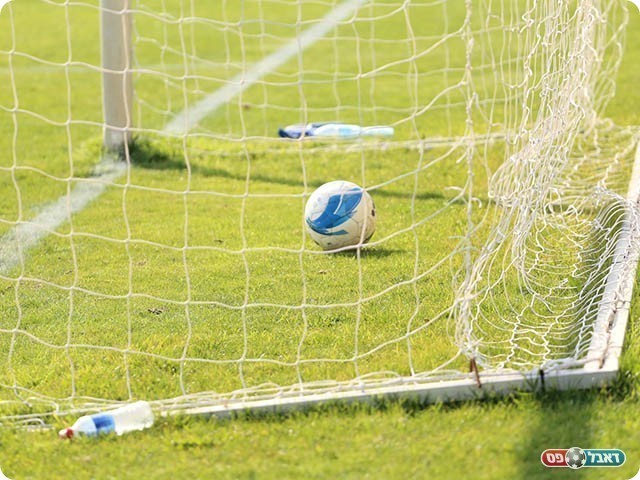 הכדור ברשת (קובי פורטל)