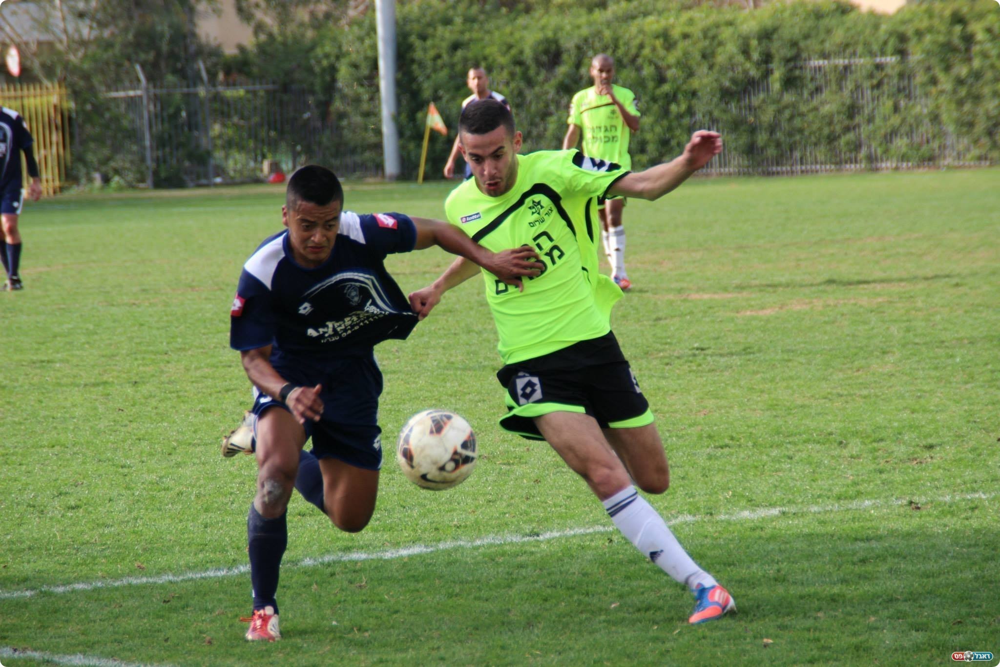 מתן פלג במאבק על הכדור (צילום: עודד חסין)