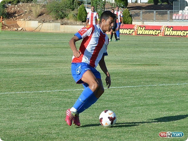 ניב סרדל (ארנון לוי)